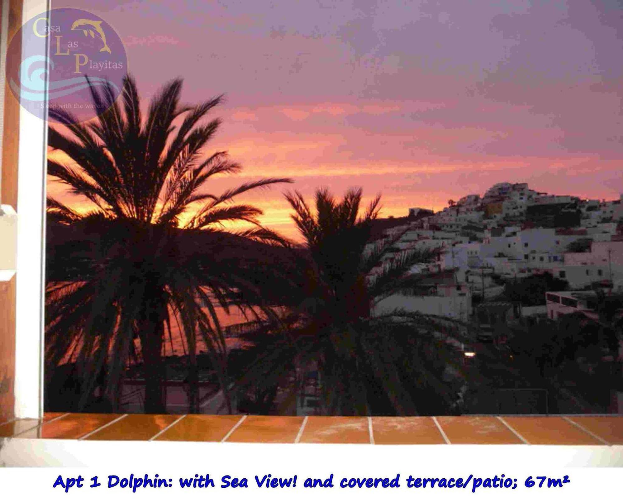 Casa Las Playitas -Clp- Best Sea View - In 1 Minute Ocean Las Playas Buitenkant foto